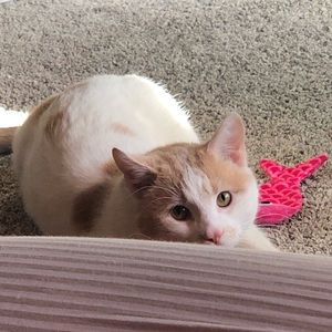 Meet your Posher, Christopher